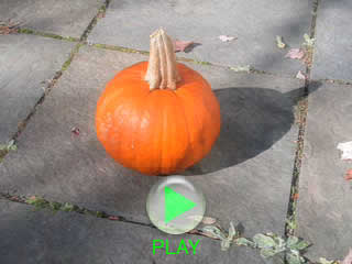 Automatic Pumpkin